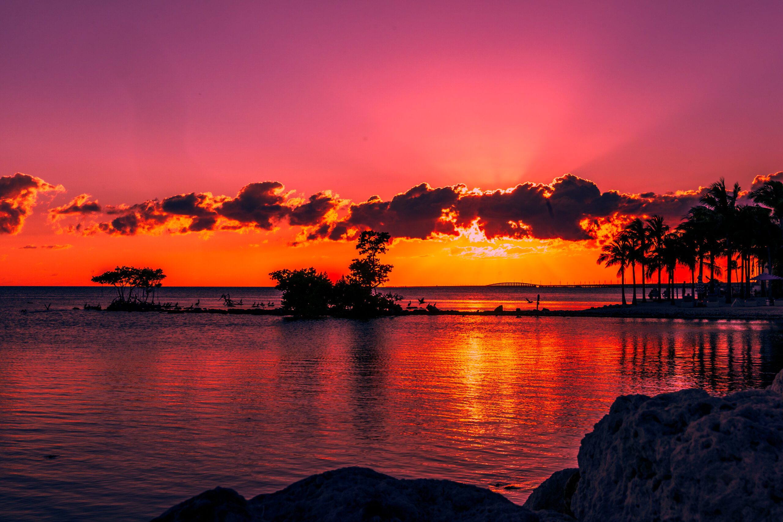 Exclusive Yachts - Marathon Sunset, Florida Keys