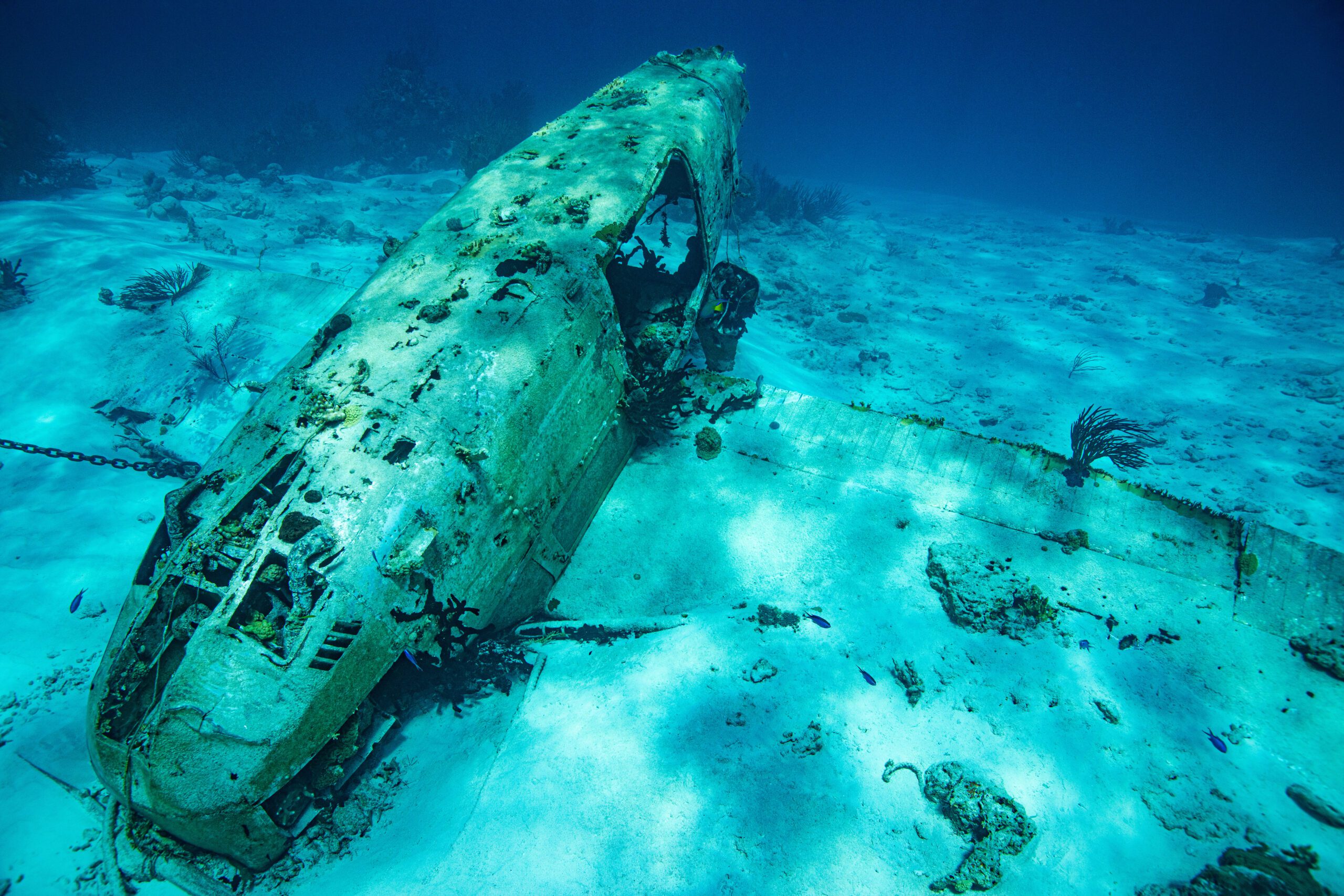 Exclusive Yachts - O'Brian's Plane Wreck in the Bahamas