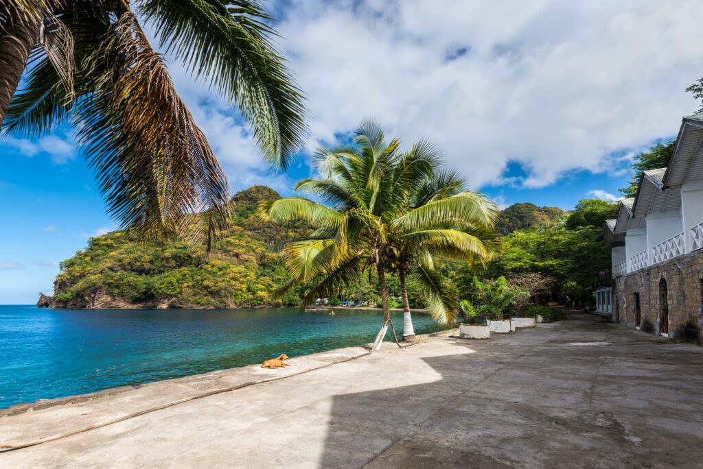Exclusive Yachts - Wallilabou Bay, Saint Vincent and the Grenadines - December 19, 2018: View from the shore out to sea and coconut palm at Wallilabou Anchorage - Pirates of the Caribbean's Port Royale - Saint Vincent.